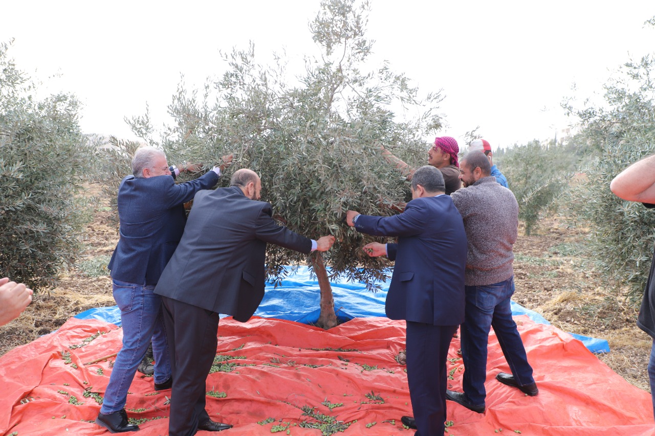 dc0ec562 0402 4220 a490 571efb2faaed